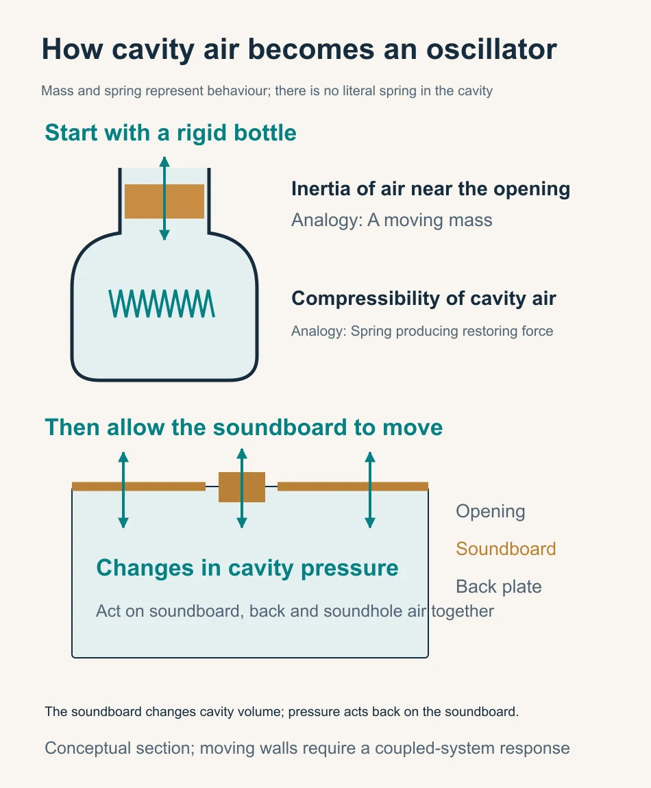 Helmholtz resonance illustrated through air inertia at a bottle opening and compression in the cavity, followed by two-way soundboard–air coupling