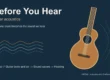 Before You Hear: The Acoustics of a Single Guitar Pluck
