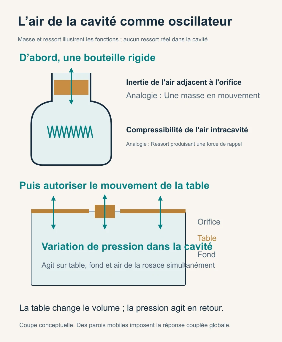 Utiliser l'inertie de l'air du goulot de la bouteille et l'élasticité de compression intracavité pour expliquer la résonance de Helmholtz, et illustrer le couplage bidirectionnel entre le panneau et l'air.