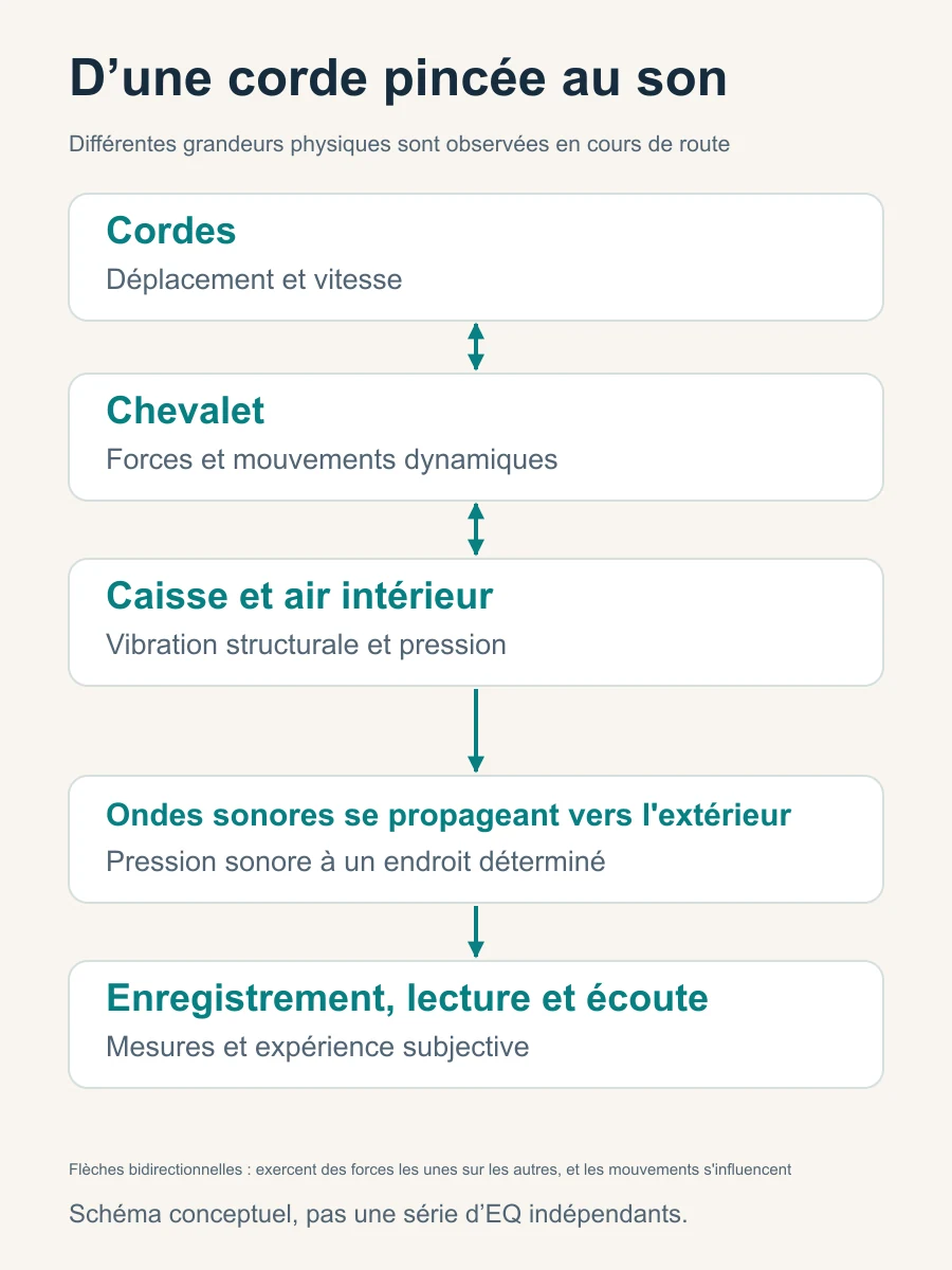 Voie du signal acoustique d'une guitare acoustique : les cordes et le corps de la guitare sont couplés dans deux directions, et les ondes sonores pénètrent dans l'audition par enregistrement et lecture.