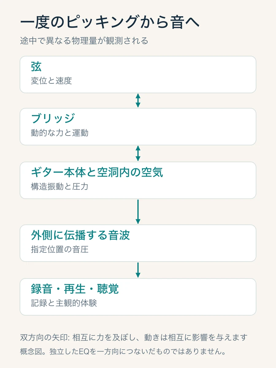 アコースティックギターの音響信号経路: 弦とギターボディは双方向に結合され、音波は録音と再生を通じて聴覚に入ります。