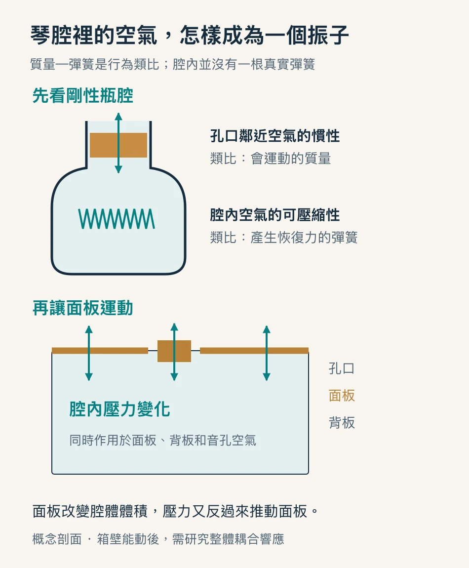 用瓶口空氣慣性和腔內壓縮彈性解釋亥姆霍茲共振，並示意麪板與空氣雙向耦合