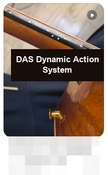 DAS · DAS Dynamic Action System