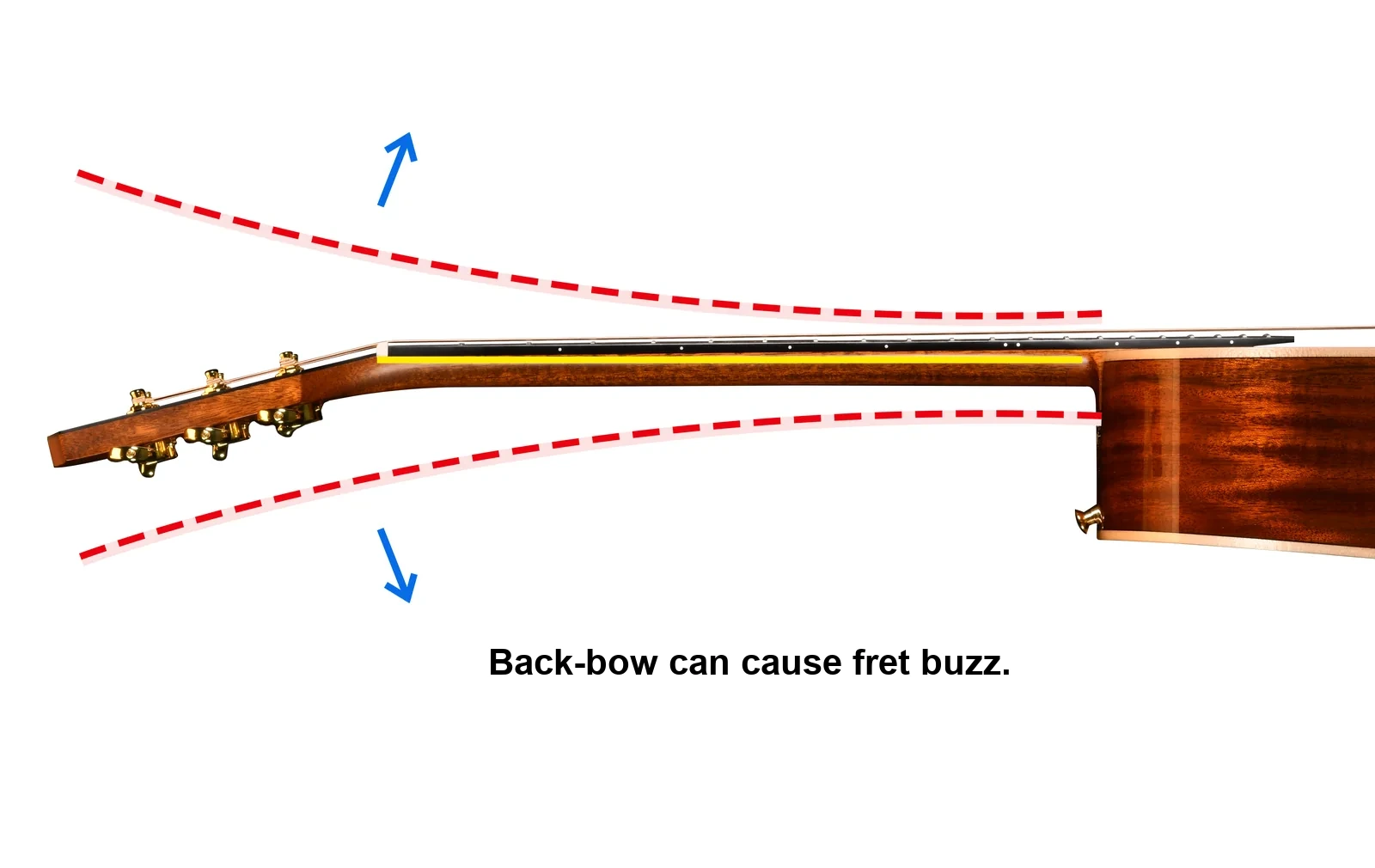Back-bow can cause fret buzz.