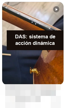 DAS · DAS: sistema de acción dinámica