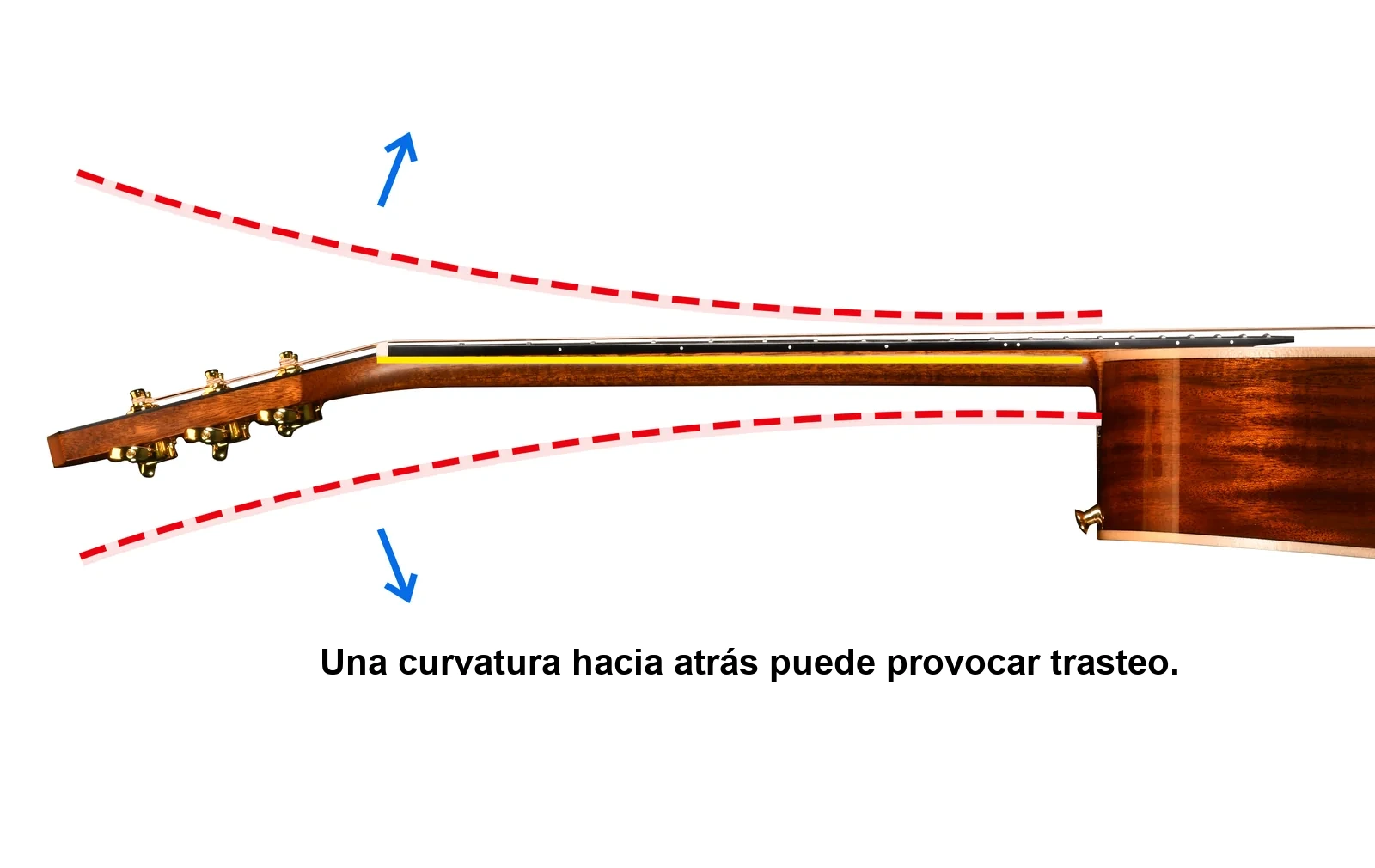 Una curvatura hacia atrás puede provocar trasteo.