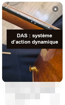 DAS · DAS : système d’action dynamique