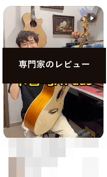 DAS · 専門家のレビュー