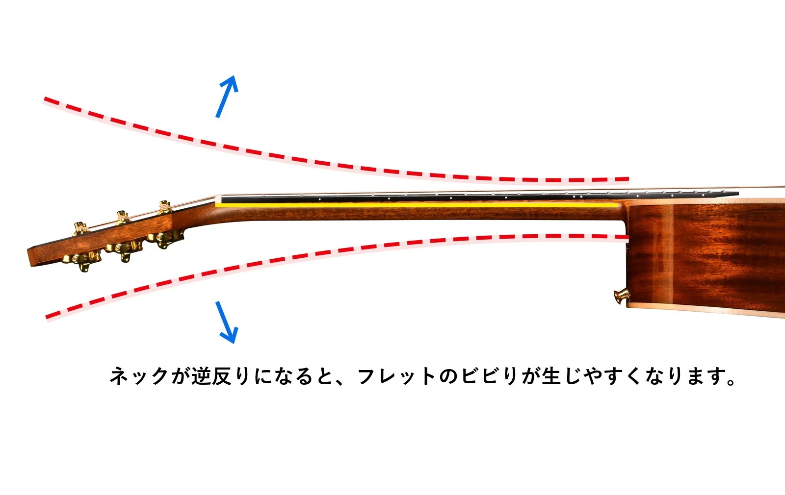 ネックが逆反りになると、フレットのビビりが生じやすくなります。