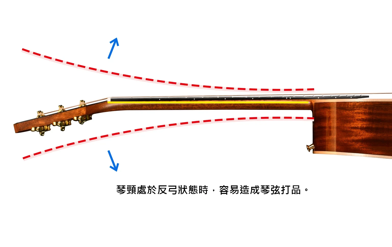 琴頸處於反弓狀態時,容易造成琴弦打品。