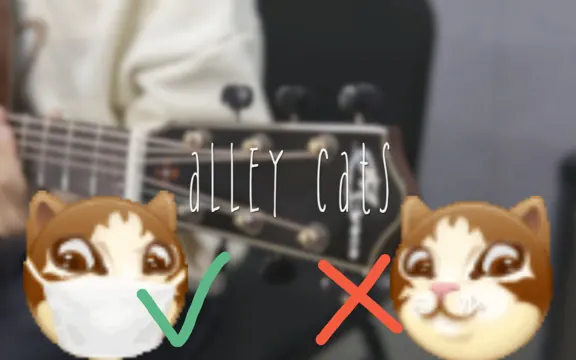 【指弹】Alley Cats 巷子猫 - 韩国指弹吉他手金和钟