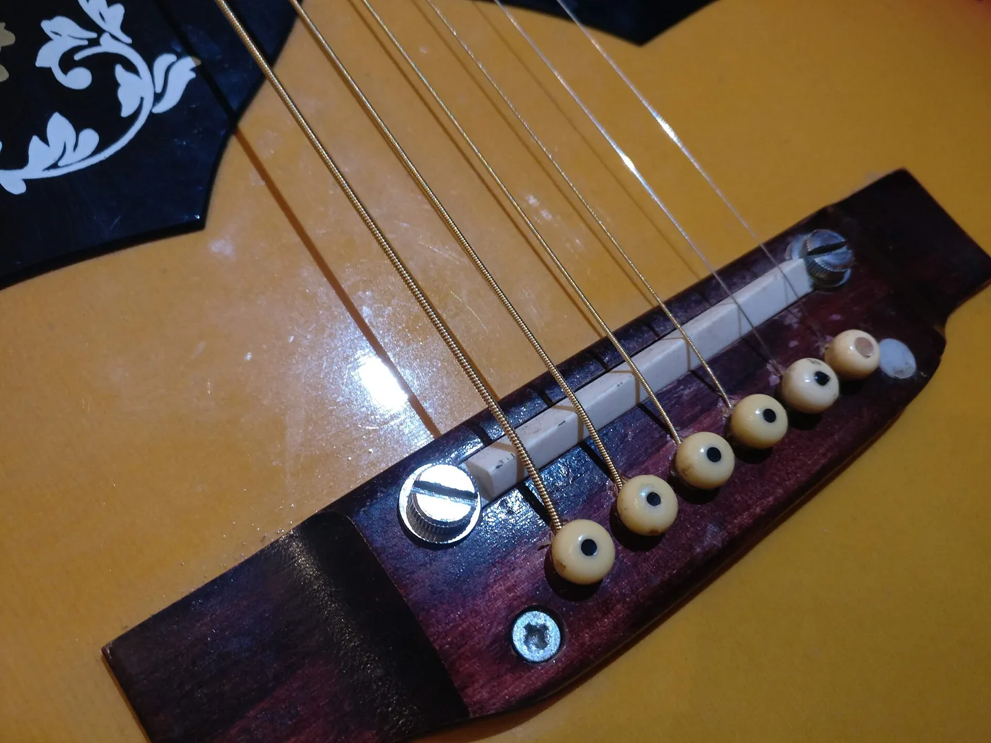 Brücken- und Satteldetails einer Kay K235-Akustikgitarre, die Komponenten zwischen Saiten und Resonanzboden zeigen.