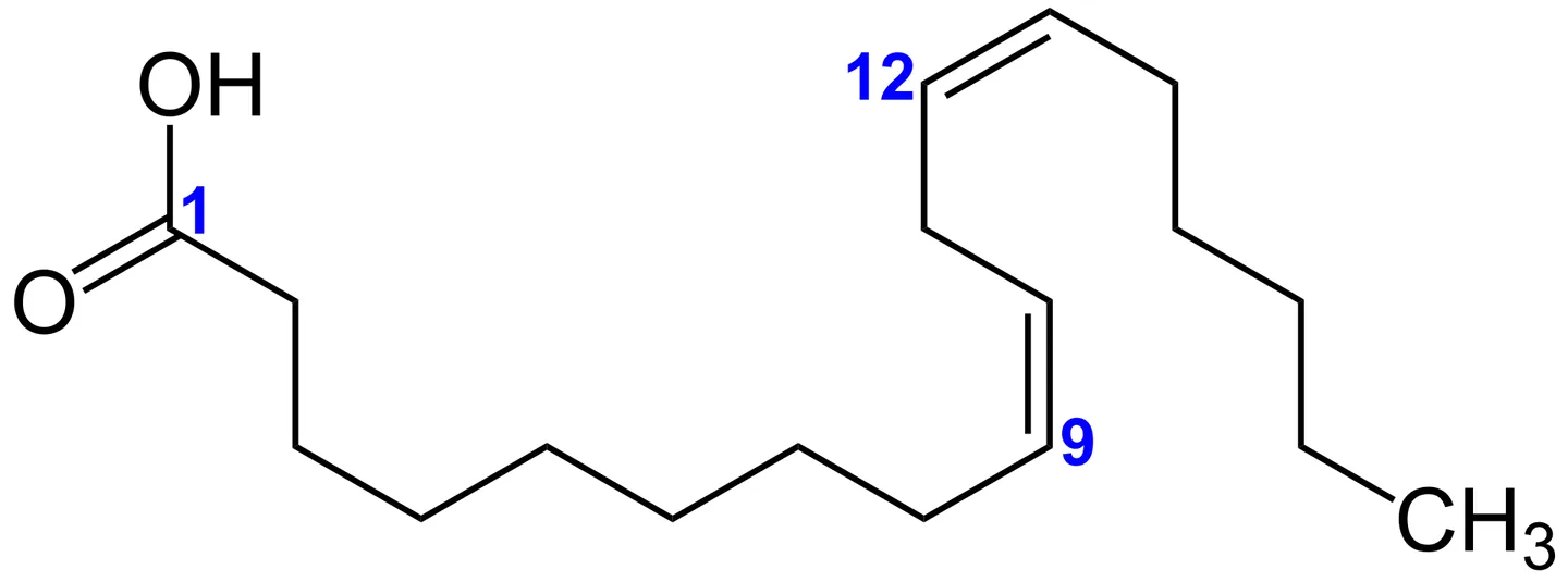 Linolsäure mit Kohlenstoff-Kohlenstoff-Doppelbindungen, die eher ungesättigte Bestandteile von Pflanzenölen als eine vollständige Produktformulierung veranschaulicht.