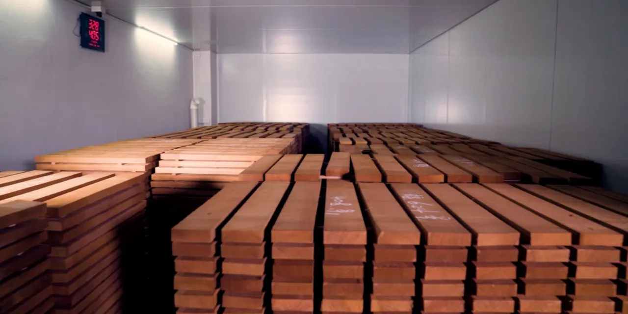 Holzbehandlung